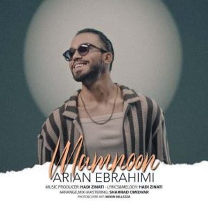 آرین ابراهیمی – ممنون